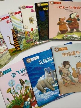 Chinese Mandarin Children's Picture Book Set - Bundle of 10 Soft Covers